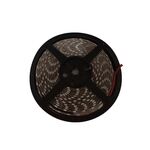Fita Led Vermelho12VDC IP65 5MT
