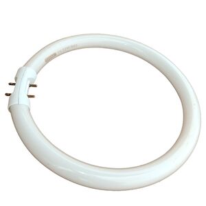 Lâmpada Fluorescente Circular  22W T5 865  2GX13