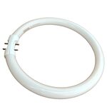 Lâmpada Fluorescente Circular 22W T5 G10Q  4200K 220V