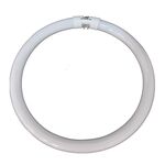 Lâmpada Fluorescente Circular T5 22W