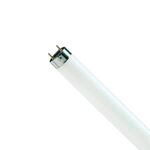 Lâmpada Fluorescente T8 58W 6500K ASLF58