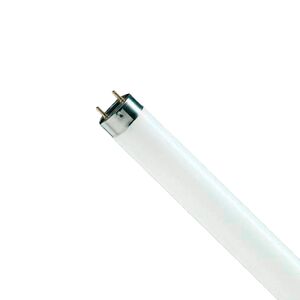 Lâmpada Fluorescente T8 58W 6500K ASLF58