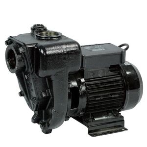 Bomba Eléctrica Trasfega Piusi - Diesel E300