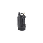 Bomba Grundfos DWK.O.06.50.22.5.0D