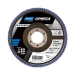 Disco Lamelado Cónico Omega - 125x22 R828 P80