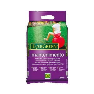 Adubo Relva Manutencao 4kg Evergreen - Kb KB