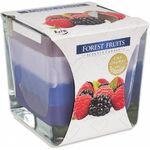 Ambientador Vela Copo Vidro 170gr Forest Fruit - Aura AURA