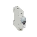 Disjuntor 1p C10 6000a Tx3 403575 - Legrand LEGRAND