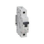 Disjuntor 1p C16 4500a Rx3 419664 - Legrand LEGRAND