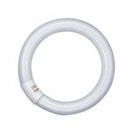 Lamp Fluor Circ T9 G10q 40w/840 - Philips PHILIPS