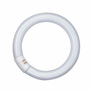 Lamp Fluor Circ T9 G10q 40w/840 - Philips PHILIPS