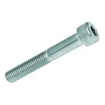 Pf.c.cil.sext.int M6x40 Din912 8.8 Zn Bl6 BRICO+ / PECOL