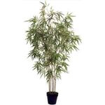 Planta Artif  Bamboo 170cm D356kk - Abmiroc ABMIROC