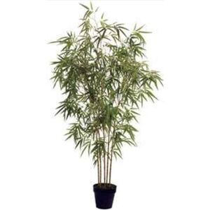 Planta Artif  Bamboo 170cm D356kk - Abmiroc ABMIROC