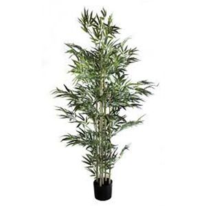 Planta Artif  Bamboo Mini 180cm A246ke - Abmiroc ABMIROC