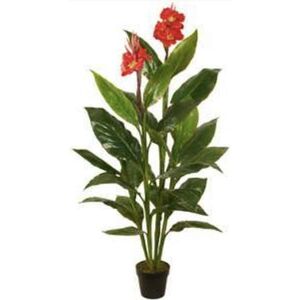 Planta Artif Canna 125cm A219kd-abmiroc ABMIROC