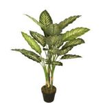 Planta Artif Dieffenbachia 100cm A092kw-abmiroc ABMIROC