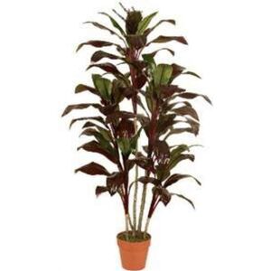 Planta Artif Dracaena 150cm Ap039kg-abmiroc ABMIROC