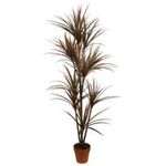 Planta Artif Dracaena 170cm D359ka-abmiroc ABMIROC
