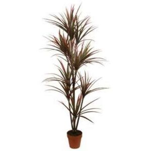 Planta Artif Dracaena 170cm D359ka-abmiroc ABMIROC