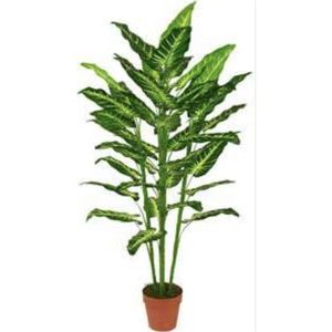 Planta Artif Molucella 160cm A044kw Abmiroc ABMIROC