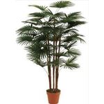 Planta Artif Palmeira Fortun 120cm Ap017kh-abmiroc ABMIROC