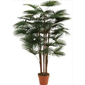 Planta Artif Palmeira Fortun 120cm Ap017kh-abmiroc ABMIROC