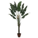 Planta Artif Palmeira Leque 240cm Ap038kb-abmiroc ABMIROC