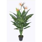 Planta Artif Passaro Paraiso 150cm A117kaa-abmiroc ABMIROC