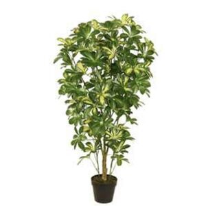 Planta Artif Scheffera 120cm Ow-kbc-abmiroc ABMIROC