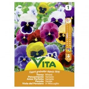 Semente Amor Perfeito Mistura 0,5gr - Vita VITA
