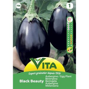 Semente Beringela 3gr - Vita VITA