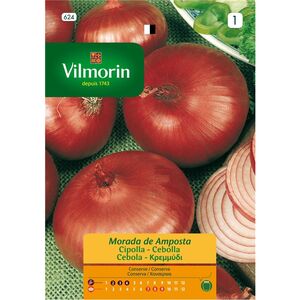 Semente Cebola De Amposta 3gr - Vita VITA