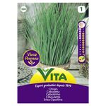 Semente Cebolinho 1gr - Vita VITA