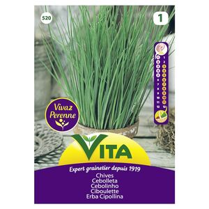 Semente Cebolinho 1gr - Vita VITA