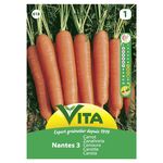 Semente Cenoura Nantes 7gr - Vita VITA