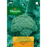 Semente Couve Broculo Ramoso Calabrese 9gr - Vita VITA