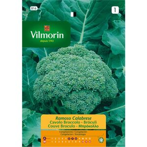 Semente Couve Broculo Ramoso Calabrese 9gr - Vita VITA