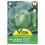 Semente Couve Repolho Brunswick 2gr - Vita VITA