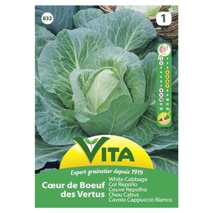 Semente Couve Repolho Brunswick 2gr - Vita VITA