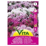 Semente Cravo Dos Poetas Mistura 1,2gr - Vita VITA