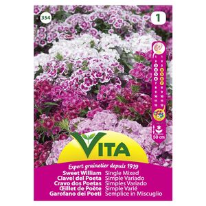 Semente Cravo Dos Poetas Mistura 1,2gr - Vita VITA