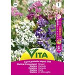 Semente Estatice Mistura 0,5gr - Vita VITA