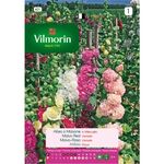 Semente Malva Rosa Variada 1gr - Vita VITA