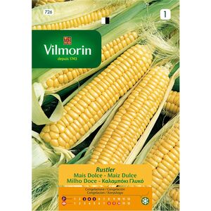 Semente Milho Doce Espiga De Ouro 8g - Vilmorin VILMORIN