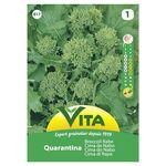 Semente Nabiça Quarantina 10g - Vita VITA