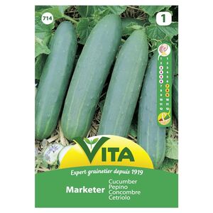 Semente Pepino Marketer 3g - Vita VITA