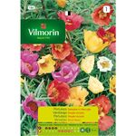 Semente Portulaca Variada 0,7gr - Vita VITA