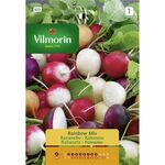 Semente Rabanete Rainbow Mix 4g - Vita VITA