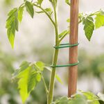 Arame de Jardim BBQ 5 Metros Verde para Suporte de Plantas